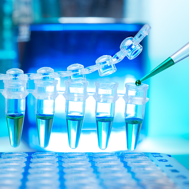 高性能活性凝胶类催化剂，确保制品具有优异的耐候性、耐化学性和耐磨性